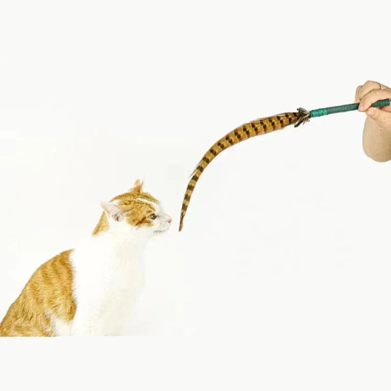 Interactive Cat Wand Pheasant Tail Feather Toy