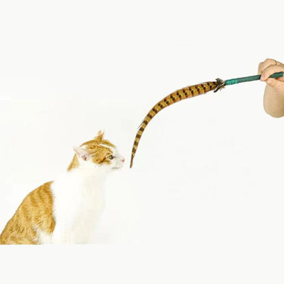 Interactive Cat Wand Pheasant Tail Feather Toy