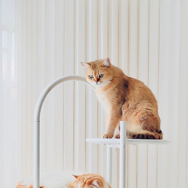 Iron Art Flying Saucer Cat Climbing Tree