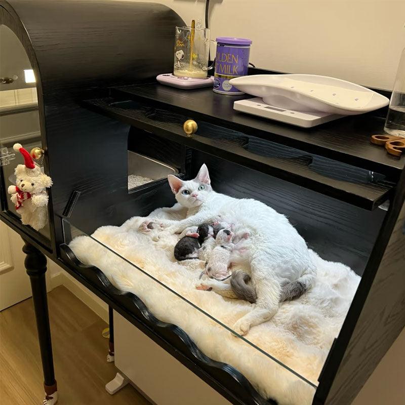JCAT Luxury Care Center Cat Furniture