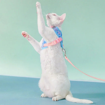 Jelly Colorblock Cat Harness