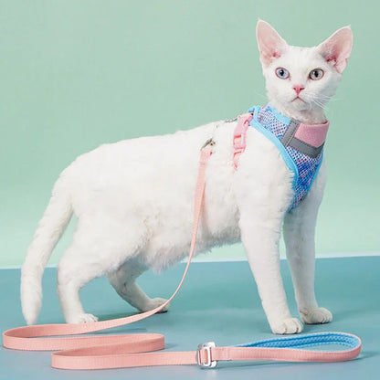 Jelly Colorblock Cat Harness