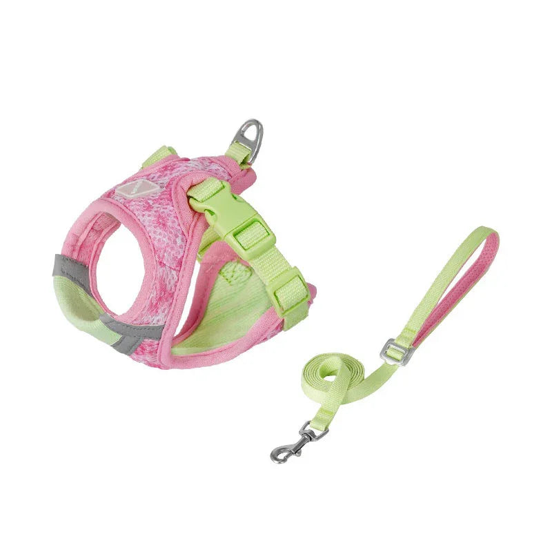 Jelly Colorblock Cat Harness