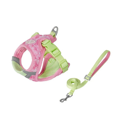 Jelly Colorblock Cat Harness