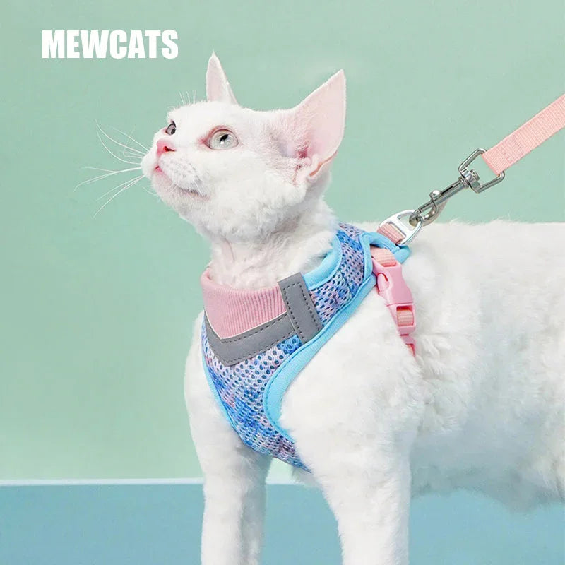 Jelly Colorblock Cat Harness