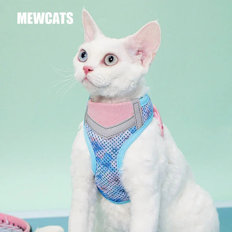 Jelly Colorblock Cat Harness
