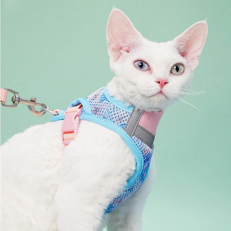 Jelly Colorblock Cat Harness