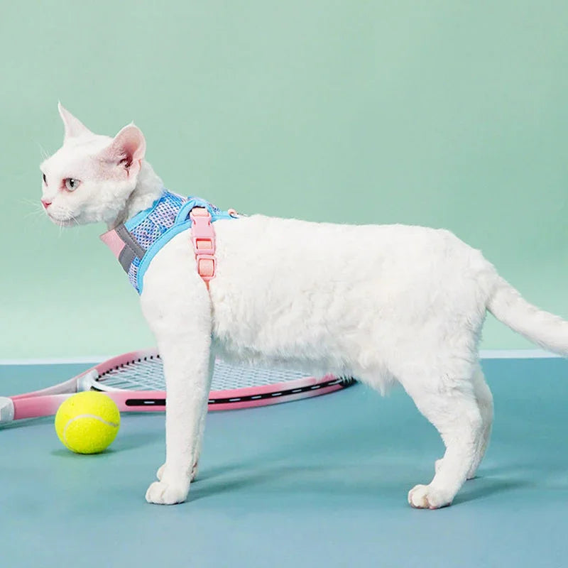 Jelly Colorblock Cat Harness