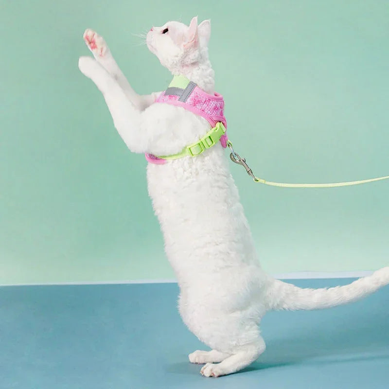 Jelly Colorblock Cat Harness