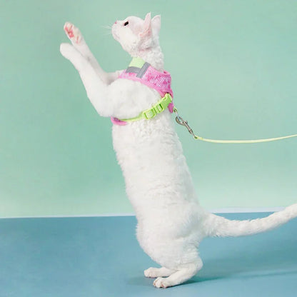 Jelly Colorblock Cat Harness