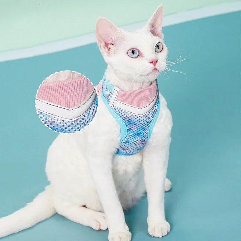 Jelly Colorblock Cat Harness