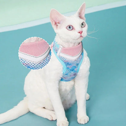 Jelly Colorblock Cat Harness