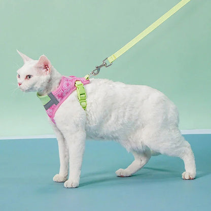 Jelly Colorblock Cat Harness