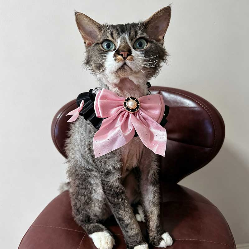 Kawaii Pink Bow Pet Neck Bib