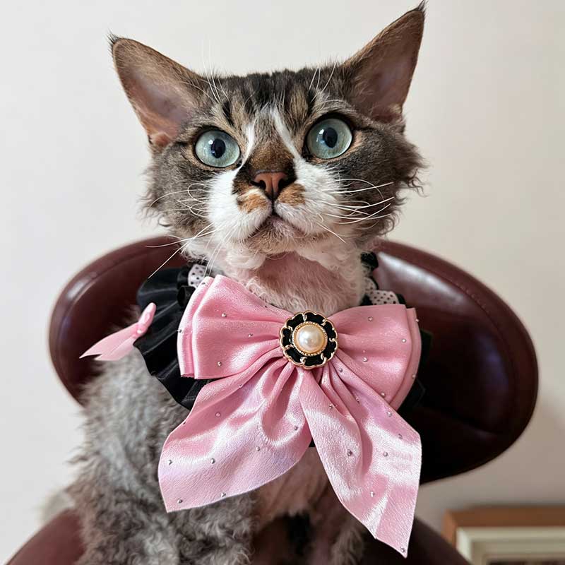 Kawaii Pink Bow Pet Neck Bib