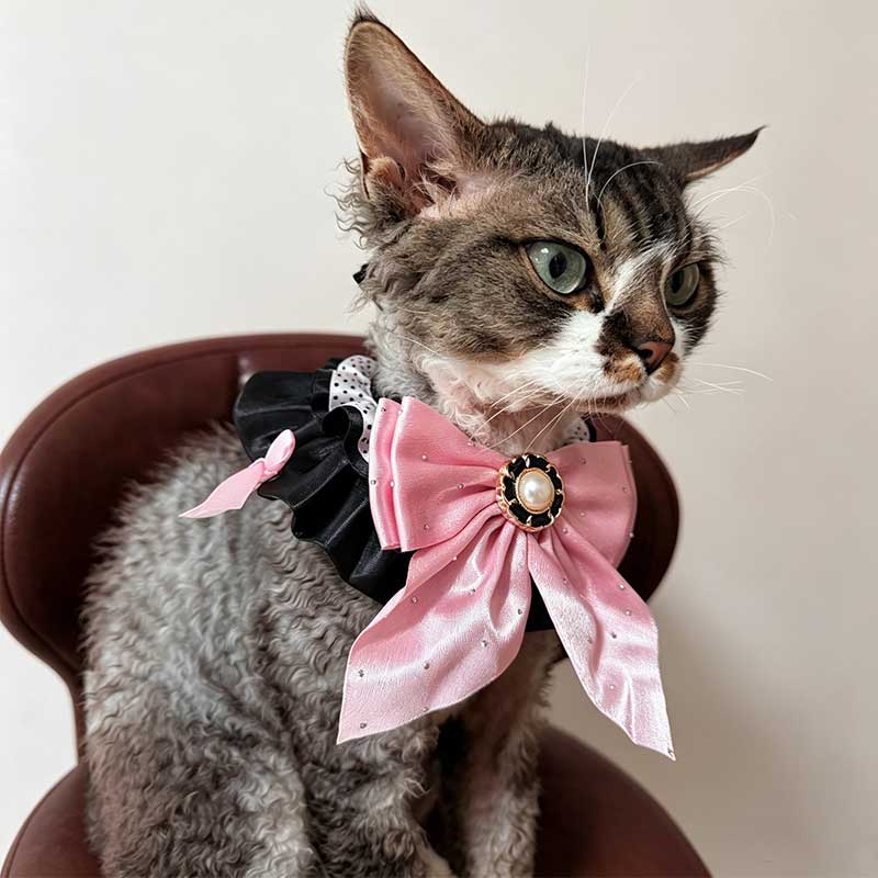 Kawaii Pink Bow Pet Neck Bib
