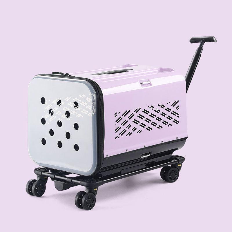Large Space Double Layer Cat Trolley Case With Wheels