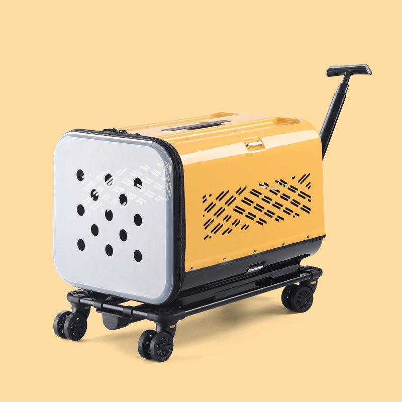 Large Space Double Layer Cat Trolley Case With Wheels