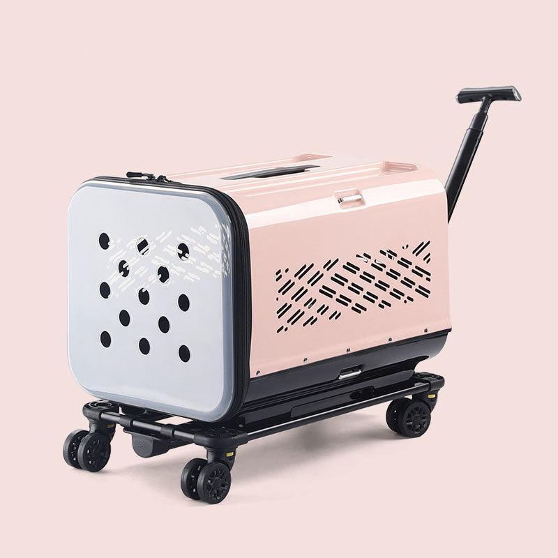 Large Space Double Layer Cat Trolley Case With Wheels