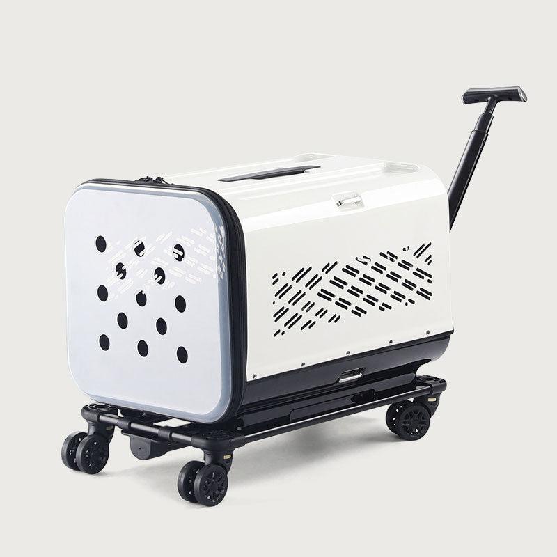 Large Space Double Layer Cat Trolley Case With Wheels