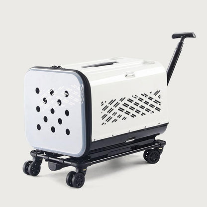 Large Space Double Layer Cat Trolley Case With Wheels