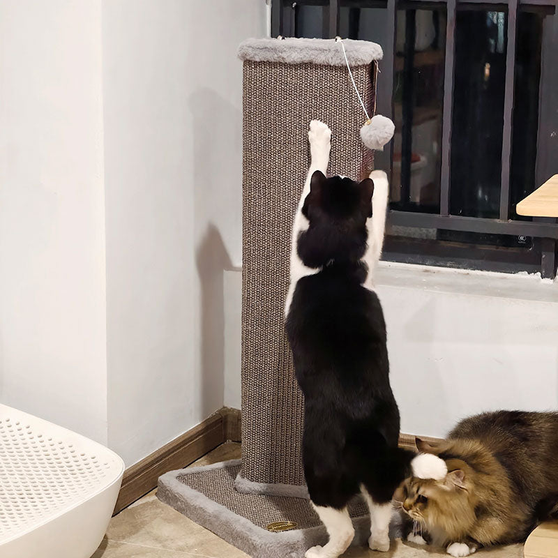 Large Vertical Cat Scratching Post Board