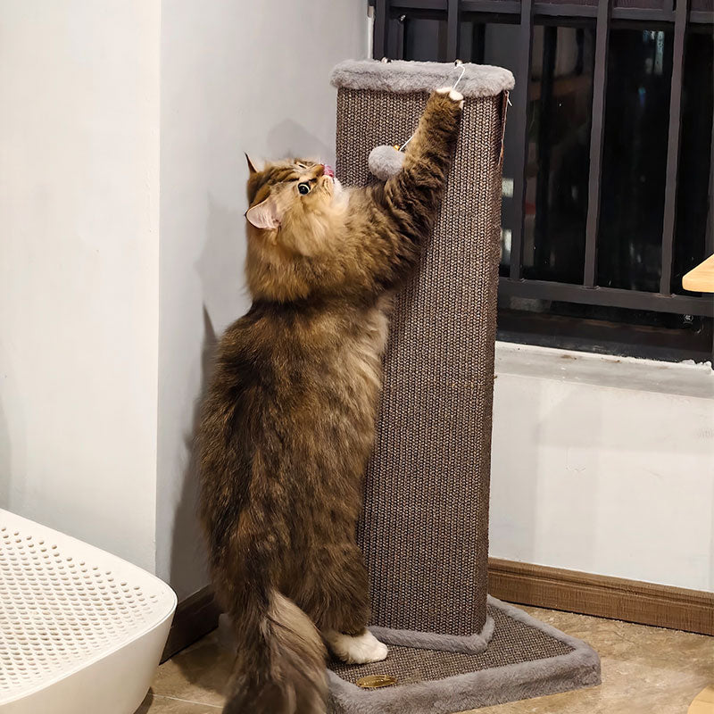 Large Vertical Cat Scratching Post Board