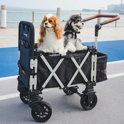 Large Outdoor Cat Carrier with Wheels Stroller