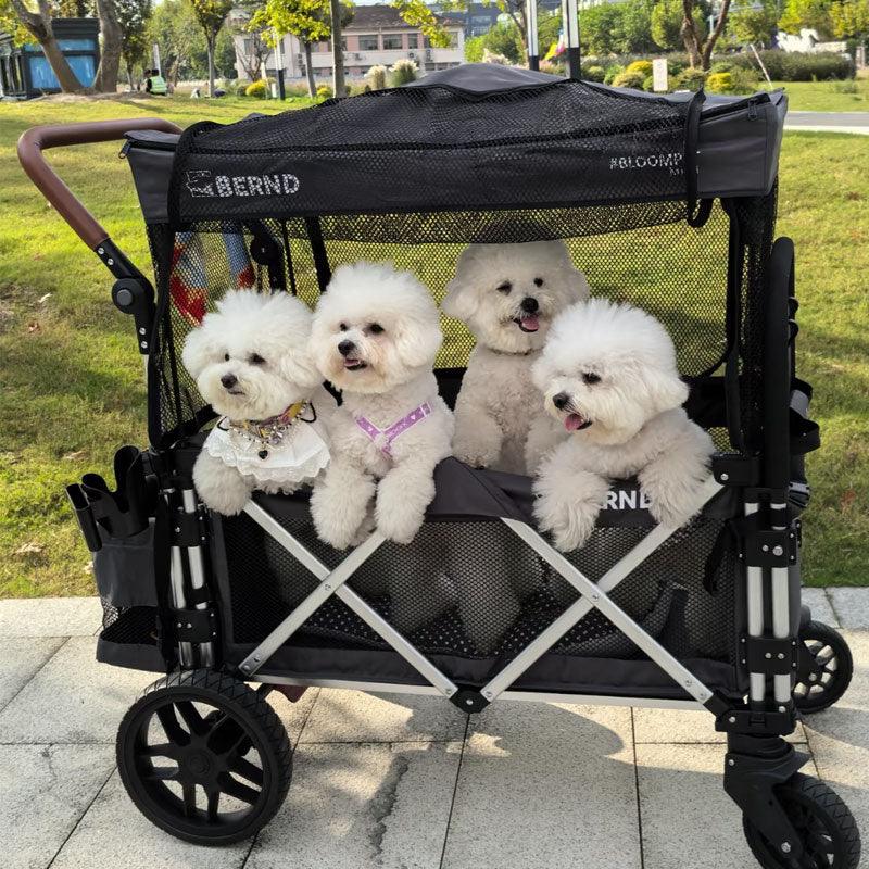 Large Outdoor Cat Carrier with Wheels Stroller