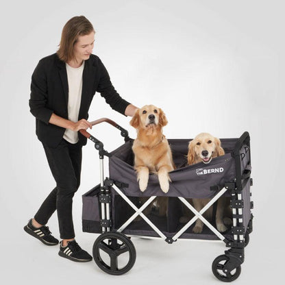 Large Outdoor Cat Carrier with Wheels Stroller