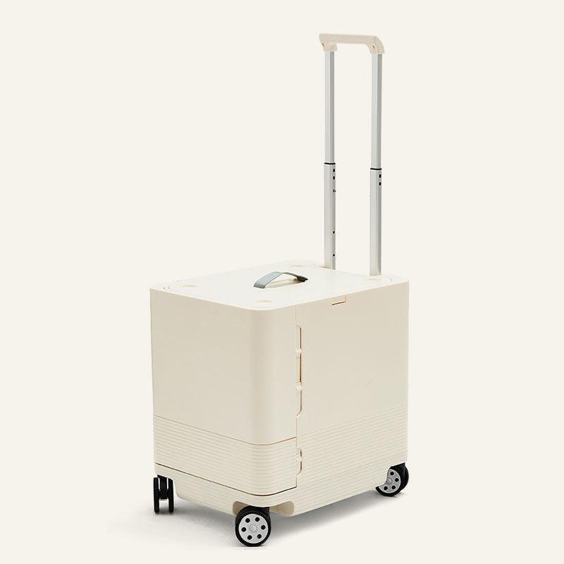 Large Space Cat Carrying Case With Wheels