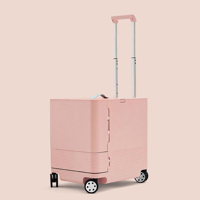 Large Space Cat Carrying Case With Wheels