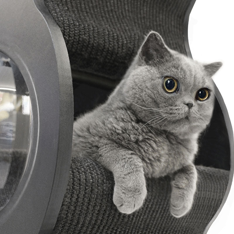 Luxury Minimalist Cat Climbing Tree Scratching Bed