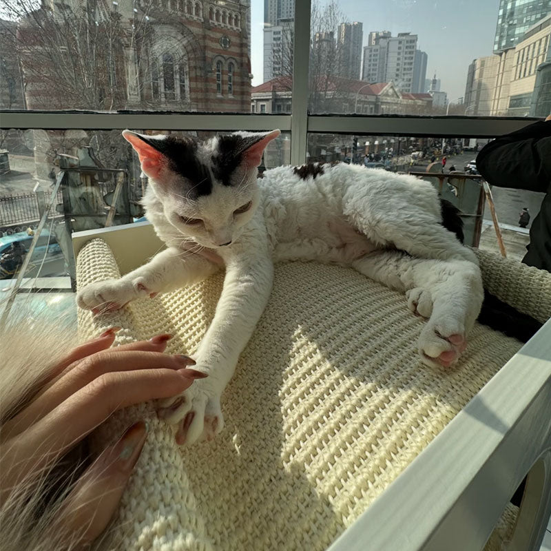 Luxury Minimalist Cat Climbing Tree Scratching Bed