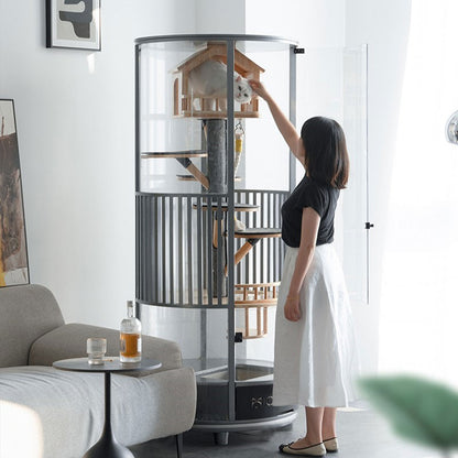 Luxury Panoramic Treehouse Glass Cat Villa
