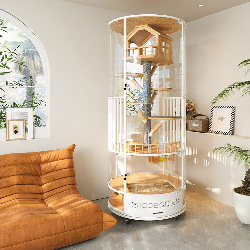 Luxury Panoramic Treehouse Glass Cat Villa