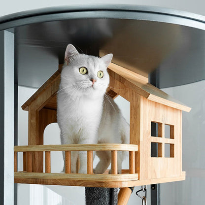 Luxury Panoramic Treehouse Glass Cat Villa