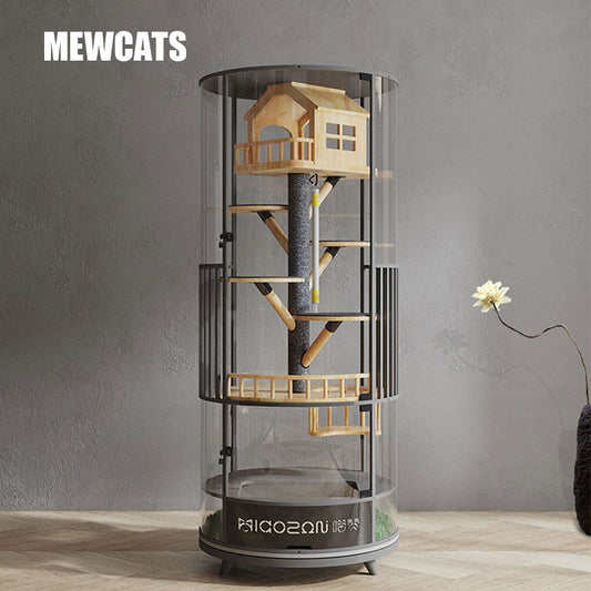 Luxury Panoramic Treehouse Glass Cat Villa