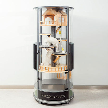 Luxury Panoramic Treehouse Glass Cat Villa