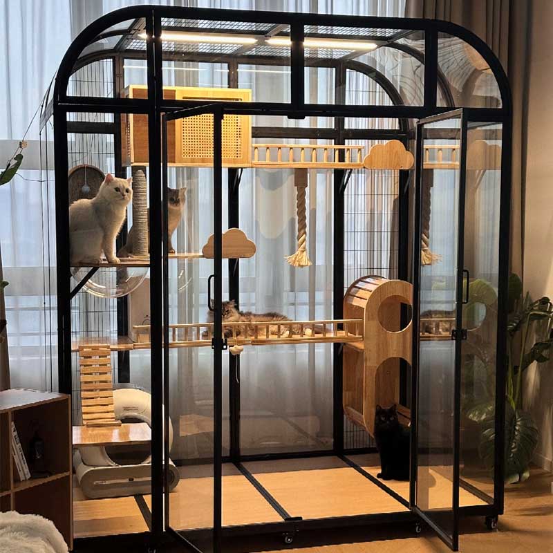 Luxury Tall Panoramic Black Cat Villa