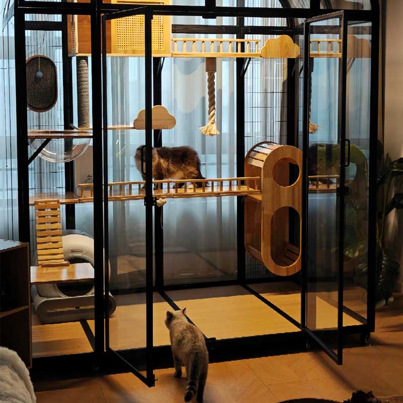 Luxury Tall Panoramic Black Cat Villa