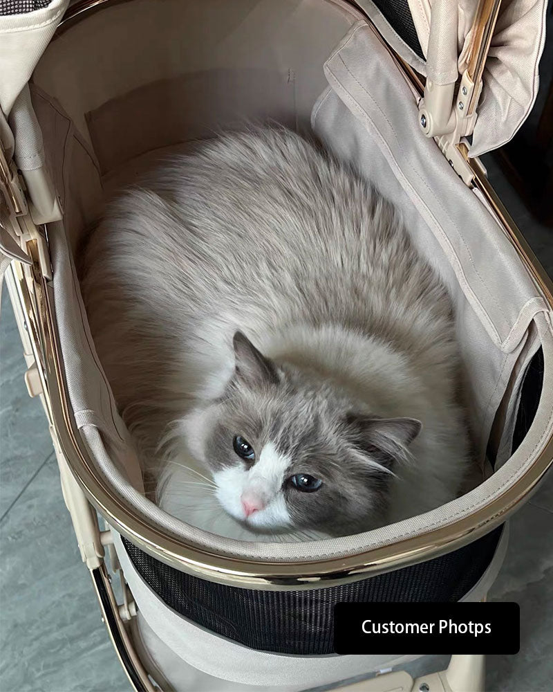 Luxury Detachable Cat Carrier Rolling Stroller