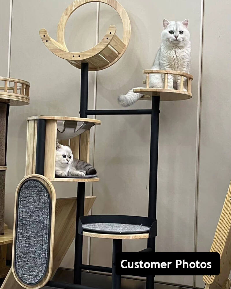 Luxury Large Cat Tree Tower with Hammock
