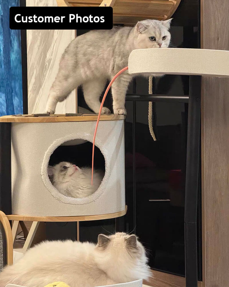 Luxury Large Cat Tree Tower with Hammock