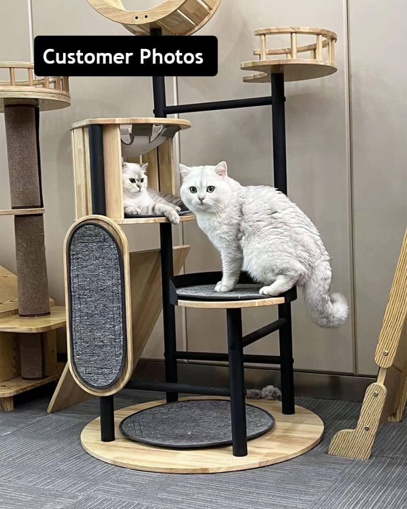 Luxury Large Cat Tree Tower with Hammock
