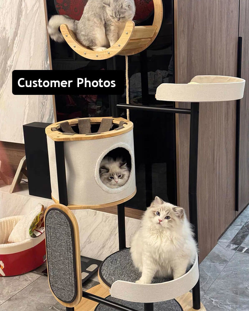 Luxury Large Cat Tree Tower with Hammock