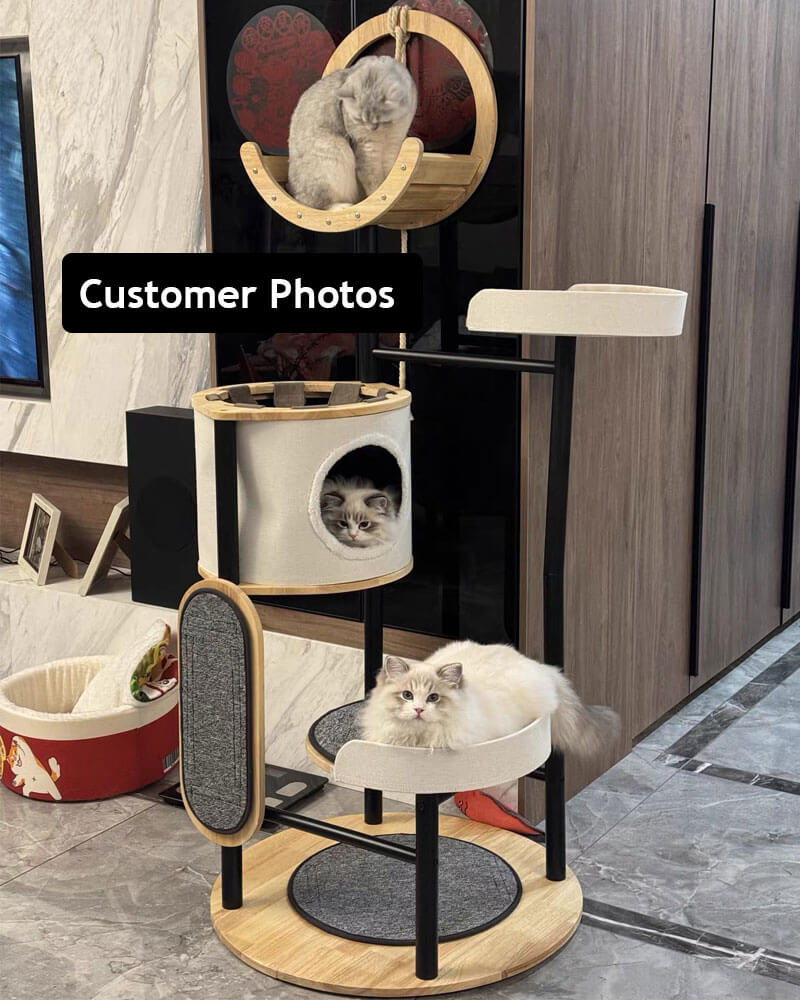 Luxury Large Cat Tree Tower with Hammock