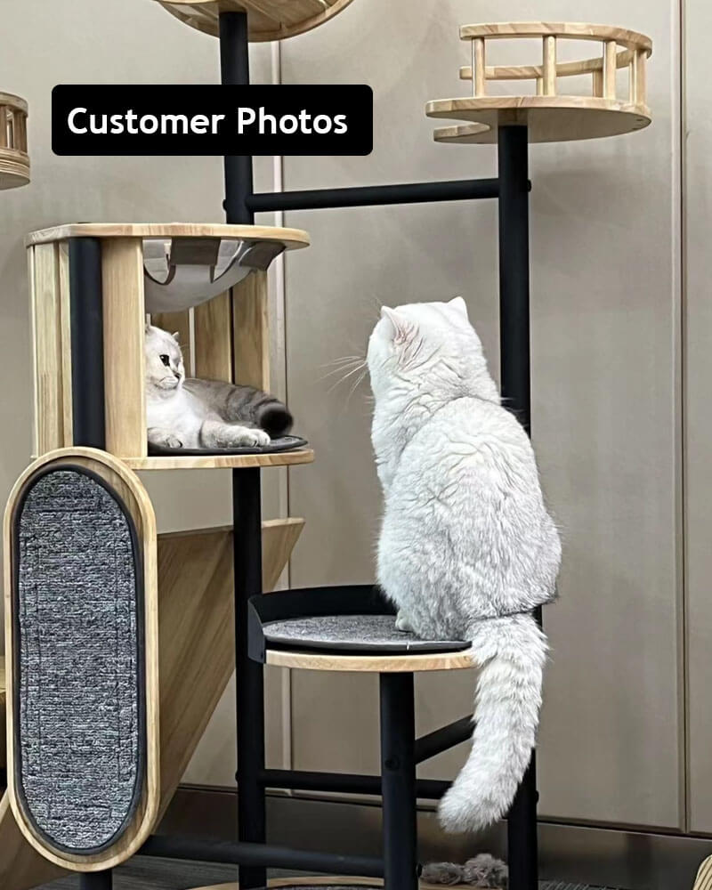 Luxury Large Cat Tree Tower with Hammock
