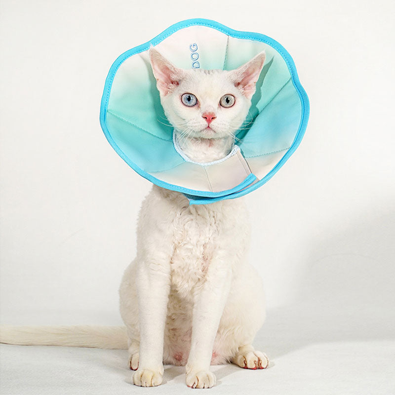 Macaroon Cat Cone 3 Color Headgear