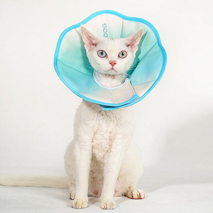 Macaroon Cat Cone 3 Color Headgear